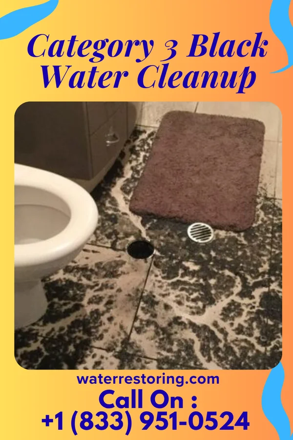 Category 3 Black Water Cleanup in Buckhorn, KY