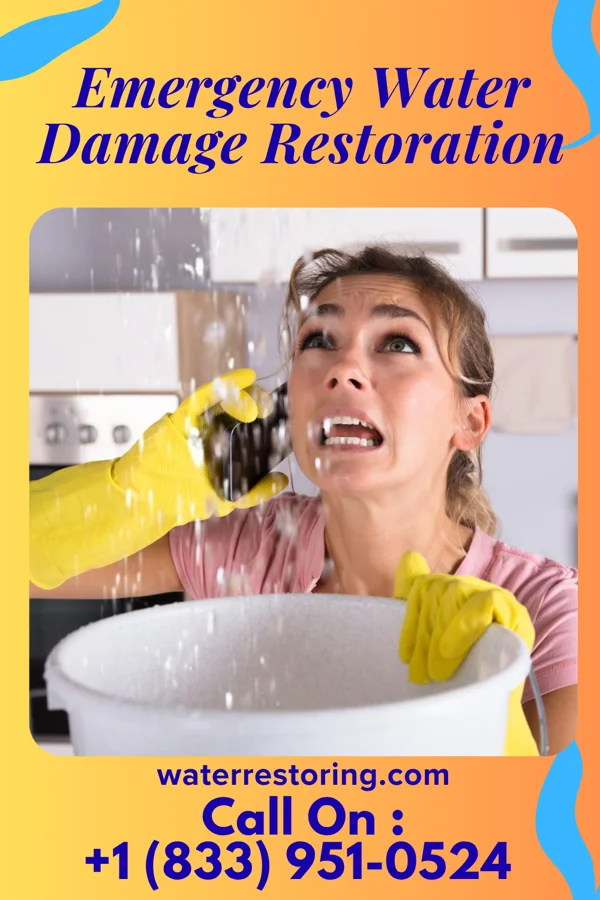 Emergency Water Damage Restoration in Buckhorn, KY