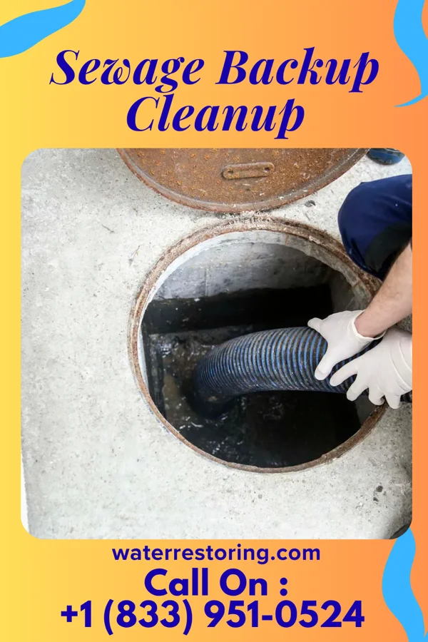 Sewage Backup Cleanup in Buckhorn, KY